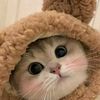 nika.gerneshi7
