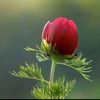 sameer.khan6714