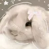 sam.wibu