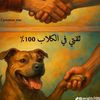 user9194348434999