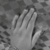 scola577893