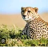 majeedhussain293