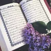 laila.faraj.lah