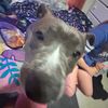 azzybear12