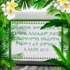 user99527370002