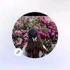 wissal5239