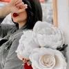 userz_1l