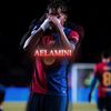 .ae.lamini