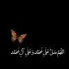aya.aqeel77