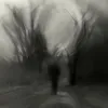sfjhfdbkoonvsqe