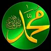 ali.bayani28
