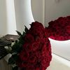 fatma.mohamed4104
