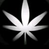 user8055716870