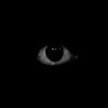 myheart.is.black