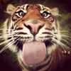 john_pork9344