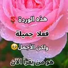 qasiim.popo