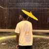 princeflashyclips