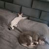 nur.toprak8
