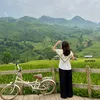 nguyet_quach_94_2309