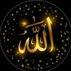 aliali786137