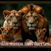 antonijimenez829