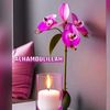 user4347025108125