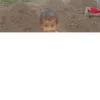 _josy_santos5