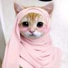 koky_374