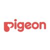 Pigeon Venezuela