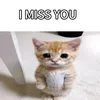 alwayswaitingforyou00