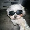 Masha