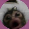 layy1464