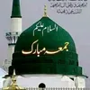 muhammadshahbaz7783