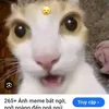 juhy242