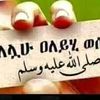seid.awol82