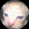 nhin_nhin_cai_ma_m