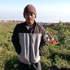 lutfi.kholili