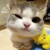 tasya_official308