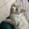 user77925619