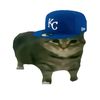 rayballll