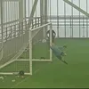 rubysaves.no1