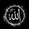 user485330731