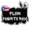 flowpuertorico.store
