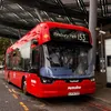 the_nlbuses