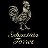 sebastian.torres0697