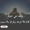 haider.turkmani
