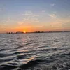 ngtinhmuaha_233