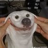 tubhawj420