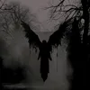 shailennmelanie.v