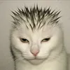 jeffreyticot3